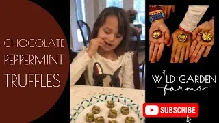 How to Make Chocolate Peppermint Truffles