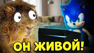 Свинка Бузя против Монстра: Борьба с Sonic.exe у нашего дома!