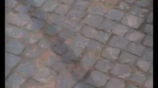 Карелия 21
