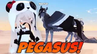Pegasus & Equus! | HORSE LIFE