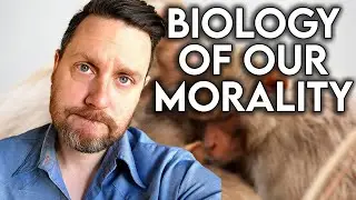 Morality As Social Form Of Health