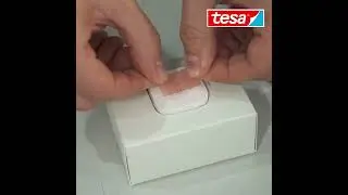 tesa 66965 Mounting PRO Transparente 1x1