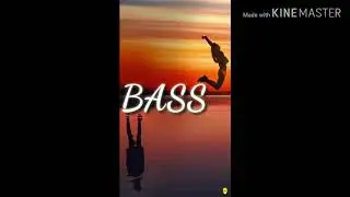 BASS..