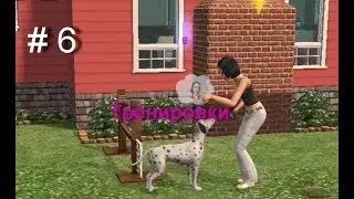 # 6  Let's play The Sims 2 