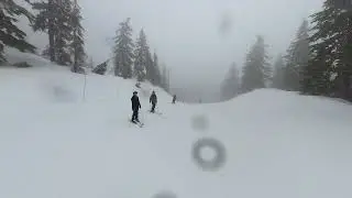 Carving Cypress