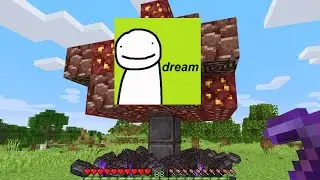 POV: Dream Joins Your Stream