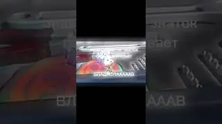 ВЛАДИСЛАВ 