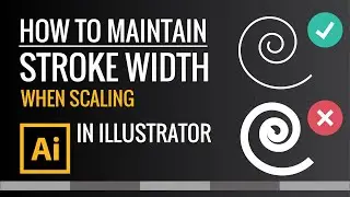 How to maintain stroke width when scaling objects in Illustrator | Zeedign Tutorials