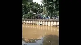 MATEL ( MATA ELANG ) VS OJOL 