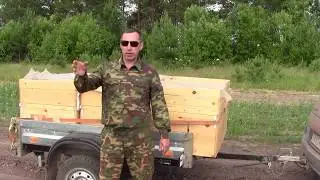 Бегство от 