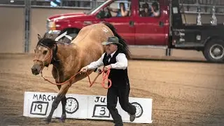 Mustang Mania 2021 Winning Freestyle - 