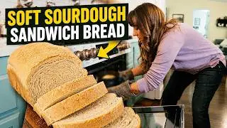 Best Beginner Sourdough Sandwich Bread Recipe (Soft & Pillowy!)