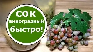JUICE GRAPES