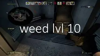 weed lvl 10
