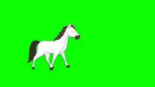 Horse green screen no copyright free video/Horse green screen video