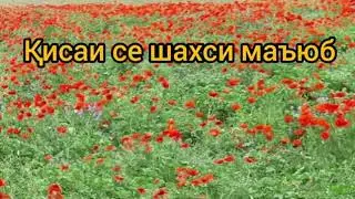 ҚИССАИ СЕ ШАХСИ МАЪЗУР Домулло Абдулкодир