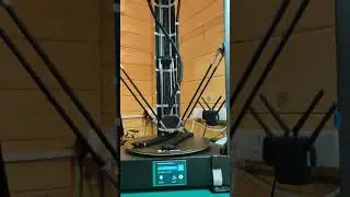 60 Seconds in the life of a Delta (FLSUN QQ-S)