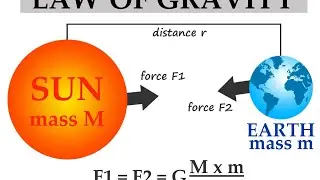 ncert SCIENCE Class 9th  numerical question गुरुत्वाकर्षण gravitational part1
