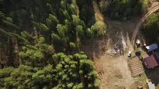 Черная. Дом в лесу
