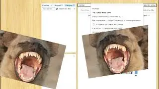 Просто видео.....Да я типо вернулся