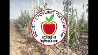 «Умный сад» в ООО «Агрофирма» «СадМашСервис»