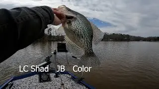 JB LC  Shad Pour To Catch/Great Stained Water Color Crappie Bait