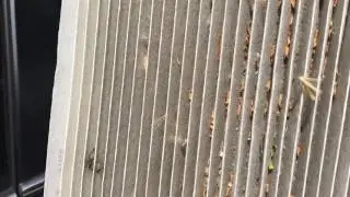 Tutorial: How to replace the cabin air filter on a 2012 Honda CRV
