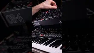 Sequential OB-6 – 303-Inspired Synth Sound 
