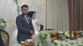 бехтарин туй дар Шайдон