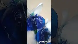 Ирис бородатый 🥀 ПЭТ бутылки!#ростовыецветы#