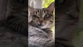 У меня плохой характер? Кто сказал? 