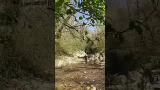 #АгурскиеВодопады #Сочи
