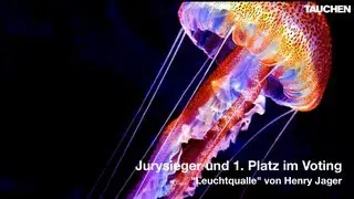 Die Siegerfotos aus dem Leserfoto-Voting Juni 2011