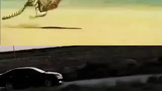Музыка