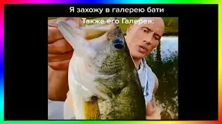 тик ток галерея бати