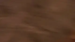 Прогулка Перед Сном🐕🐕🐕🐕