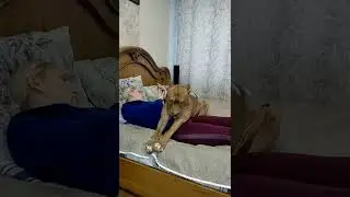 ласковый зверь !