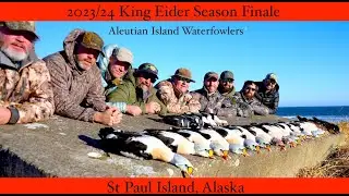 King Eider hunting  Season finale