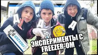 ЭКСПЕРИМЕНТЫ С FREEZER-ОМ | ДавиГо