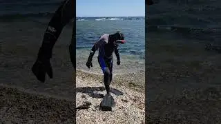 Ихтиандр🤿😎🤪