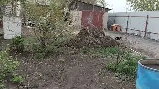Посадка. 2023 год