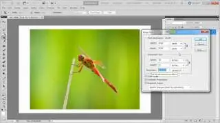How To Make a Custom Print size from Photoshop