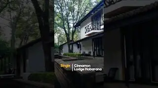 Шикарный отель в джунглях! 