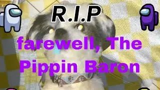 a tribute to pippin, a lost friend✊