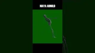 Arnold vs Maya 