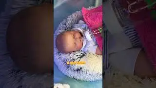 O bebê reborn mais fofinho que você vai ver hoje 😍 #reborn #bebereborn #bonecareborn