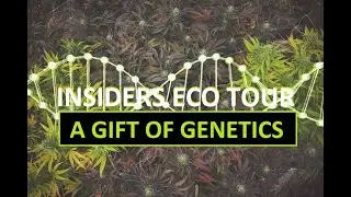 A Gift of Genetics