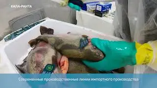 Кала Ранта
