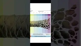 Теория щелочности. Что это такое🤔?