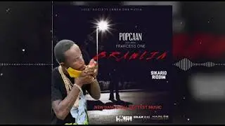 Popcaan- Brawlin [Official Audio]..ft frahcess one November 2020